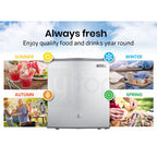GECKO 57L Portable Fridge Freezer 12V/24V